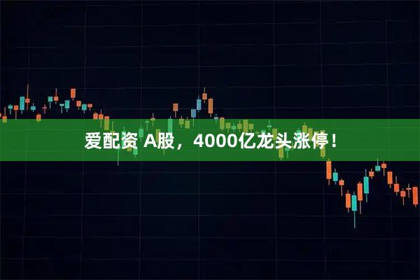 爱配资 A股，4000亿龙头涨停！