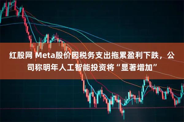 红股网 Meta股价因税务支出拖累盈利下跌，公司称明年人工智能投资将“显著增加”
