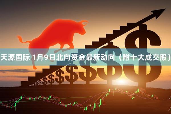 天源国际 1月9日北向资金最新动向（附十大成交股）
