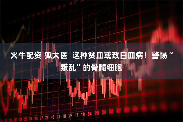 火牛配资 狐大医  这种贫血或致白血病！警惕“叛乱”的骨髓细胞
