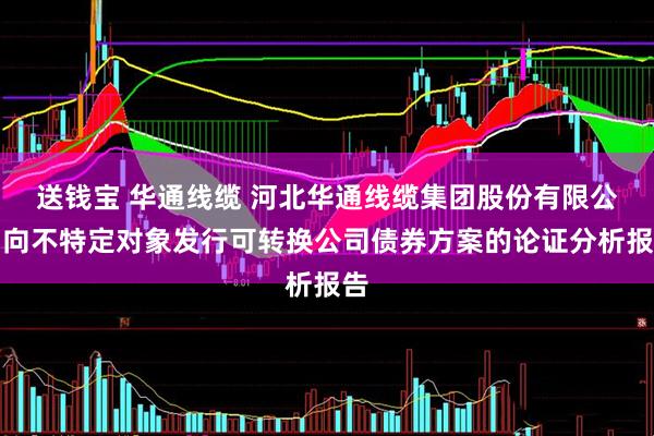 送钱宝 华通线缆 河北华通线缆集团股份有限公司向不特定对象发行可转换公司债券方案的论证分析报告